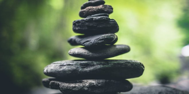 Purpose Beyond Profit The Enduring Worth of Professional Values scaled