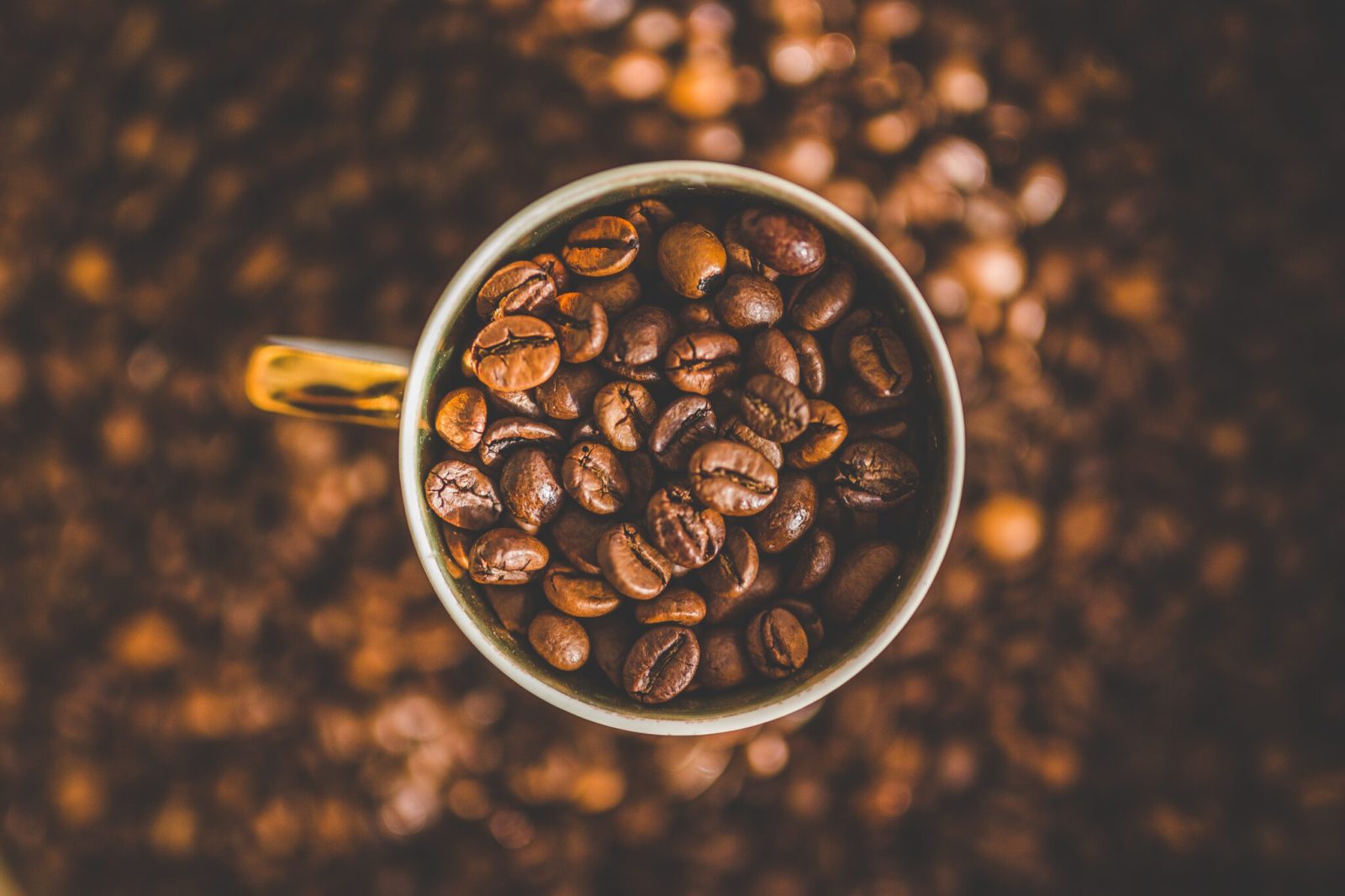 coffee beans scaled