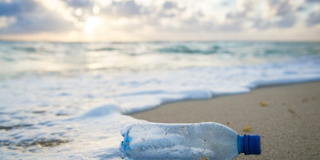 non biodegradable waste